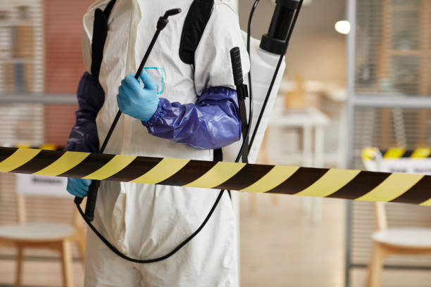 Professional Sewage Cleanup technician working in Martinsville, IN
